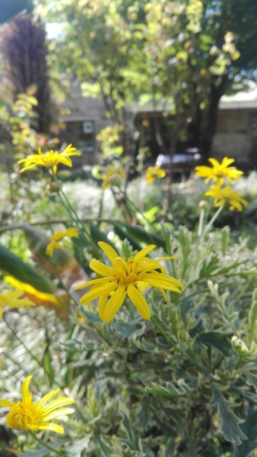 Country Lane Guesthouse 霍维克 外观 照片