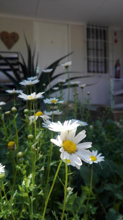 Country Lane Guesthouse 霍维克 外观 照片